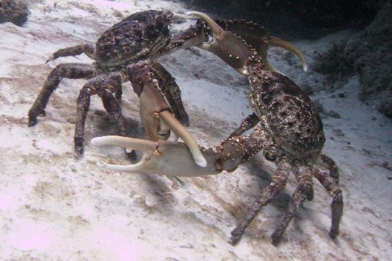 EC3A48F9-DF22-4A0F-86AE-C75EA6BAED01